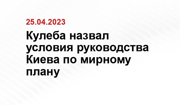 Кулеба назвал условия руководства Киева по мирному плану