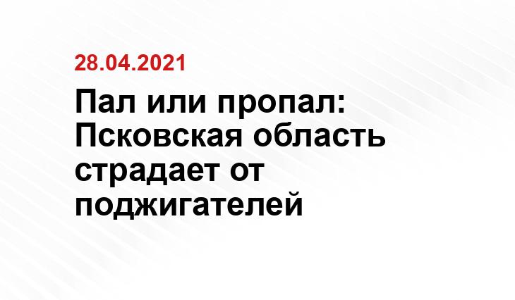 Псковская зоозащита 