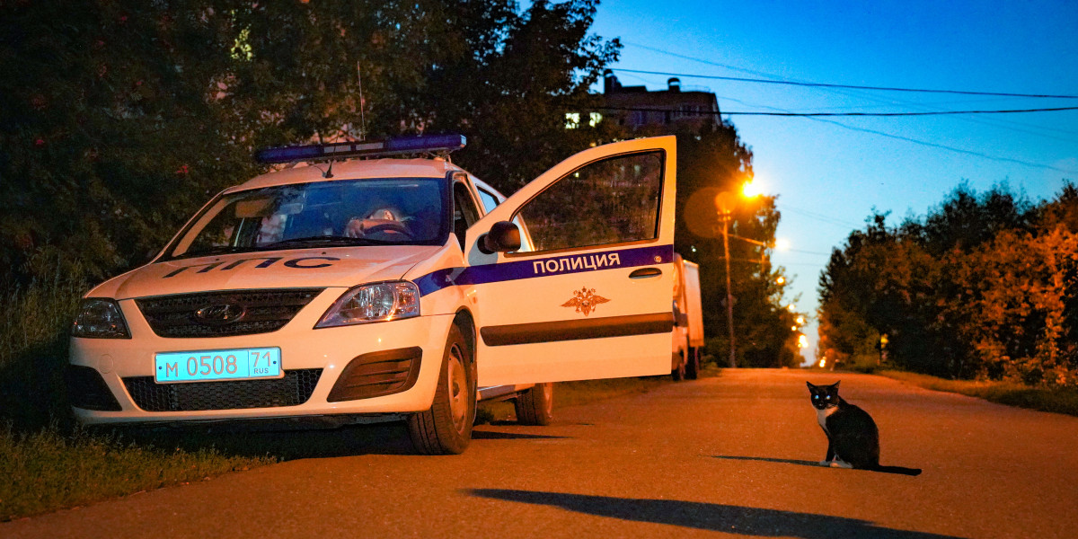 В Дедовичах вынесли приговор мужчине, насмерть сбившему школьницу редакции