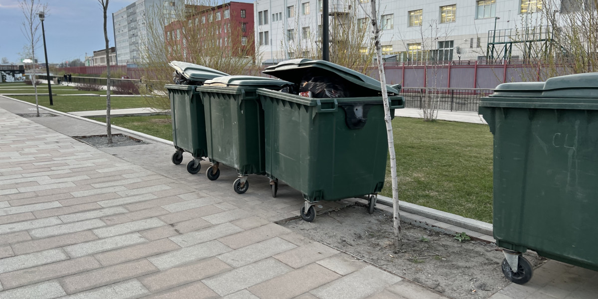 В Псковской области меняют регоператора по уборке ТКО редакции