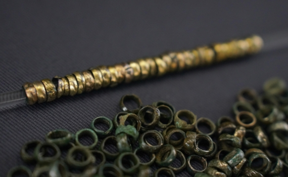 Искал червей — нашел сокровища: клад XII века под Стокгольмом поражает масштабом